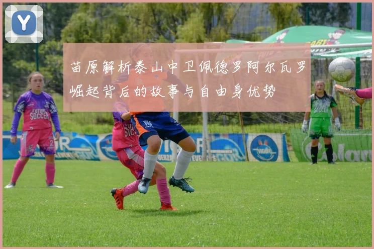 苗原解析泰山中卫佩德罗阿尔瓦罗崛起背后的故事与自由身优势