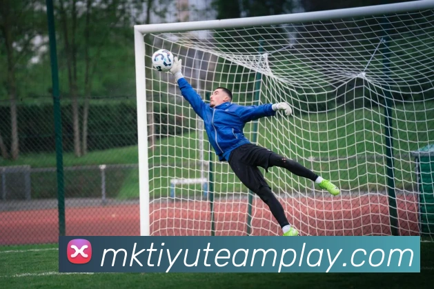 多媒体互动体验