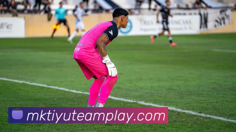 MK体育APP 体育赛事宣传图